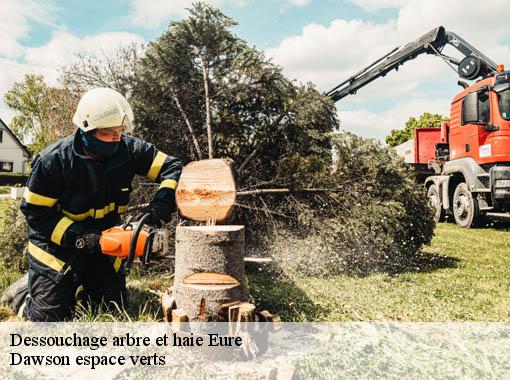 Dessouchage arbre et haie 27 Eure Dawson espace verts