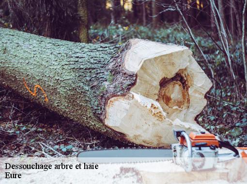 Dessouchage arbre et haie 27 Eure Dawson espace verts