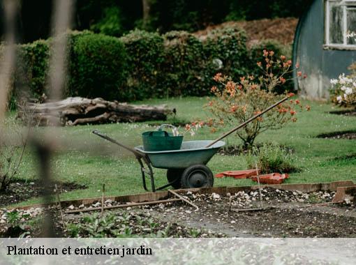 Plantation et entretien jardin 27 Eure Dawson espace verts