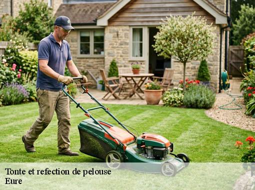 Tonte et refection de pelouse 27 Eure  Dawson espace verts
