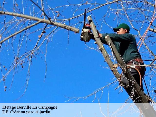 Etetage berville-la-campagne-27170 DB Création parc et jardin