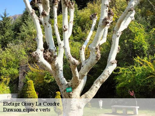 Etetage gisay-la-coudre-27330 Dawson espace verts