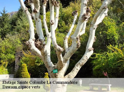 Etetage  sainte-colombe-la-commanderie-27110 Dawson espace verts