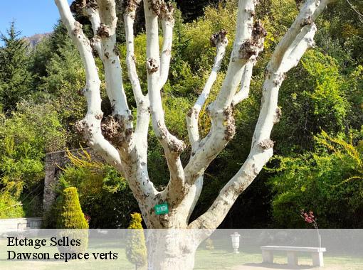 Etetage  selles-27500 Dawson espace verts