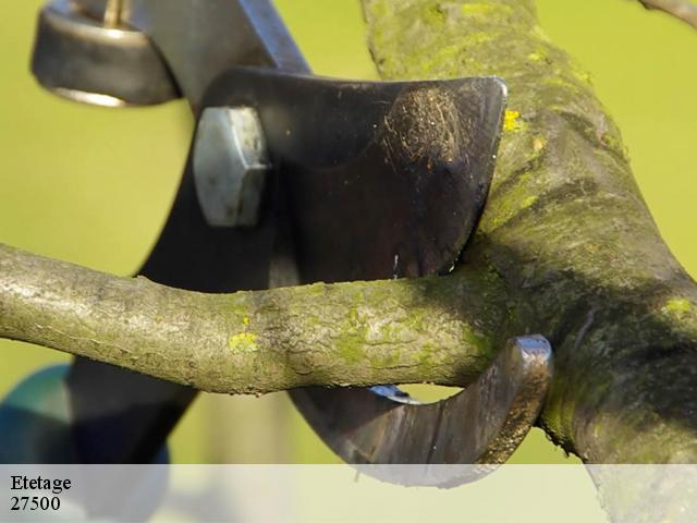 Etetage selles-27500 DB Création parc et jardin
