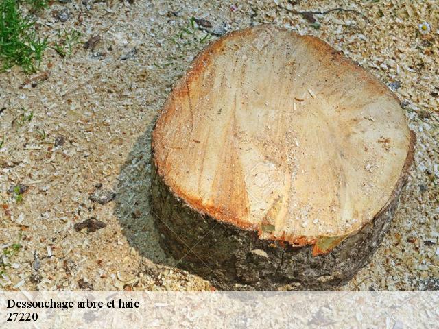 Dessouchage arbre et haie les-authieux-27220 DB Création parc et jardin