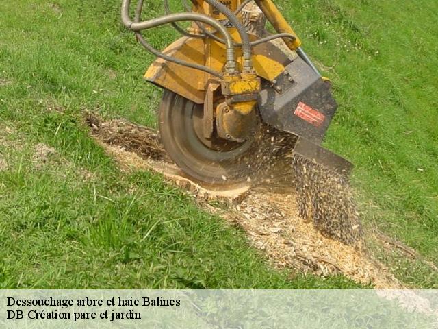 Dessouchage arbre et haie balines-27130 DB Création parc et jardin