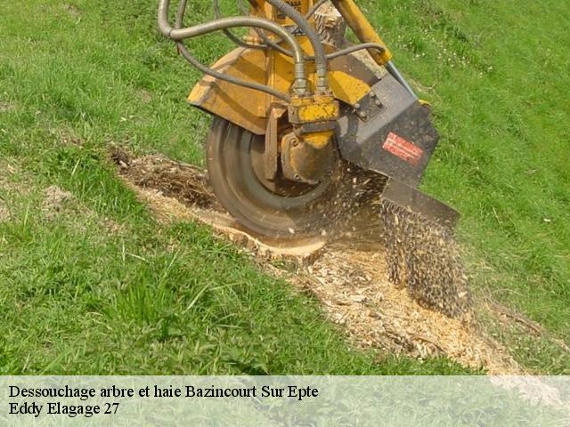 Dessouchage arbre et haie  bazincourt-sur-epte-27140 Eddy Elagage 27