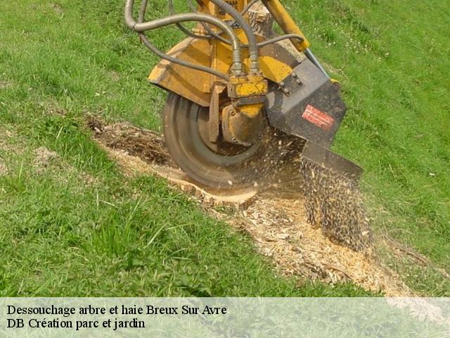 Dessouchage arbre et haie breux-sur-avre-27570 DB Création parc et jardin
