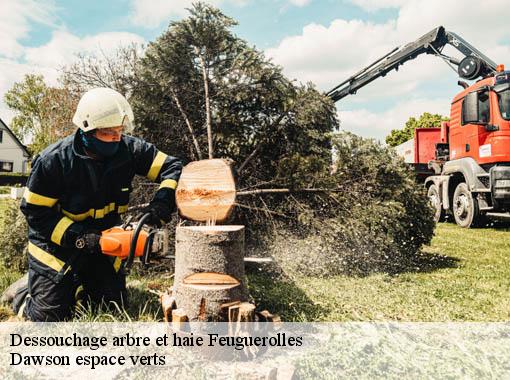 Dessouchage arbre et haie feuguerolles-27110 Dawson espace verts