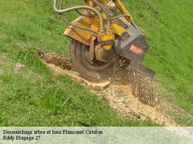Dessouchage arbre et haie  flancourt-catelon-27310 Eddy Elagage 27