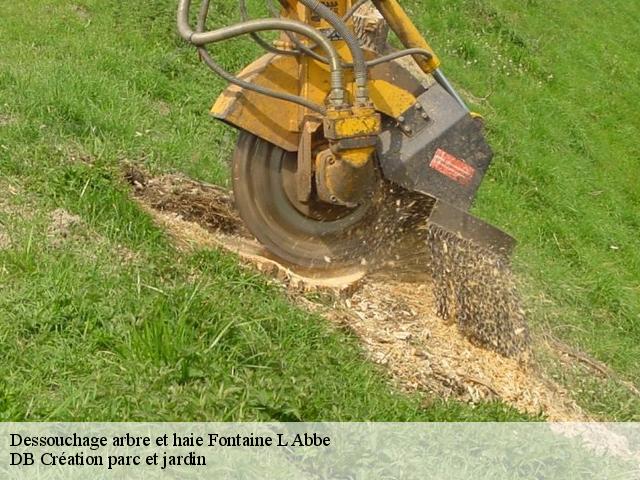 Dessouchage arbre et haie fontaine-l-abbe-27300 DB Création parc et jardin