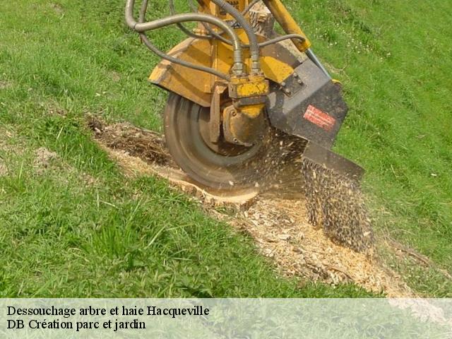 Dessouchage arbre et haie hacqueville-27150 DB Création parc et jardin