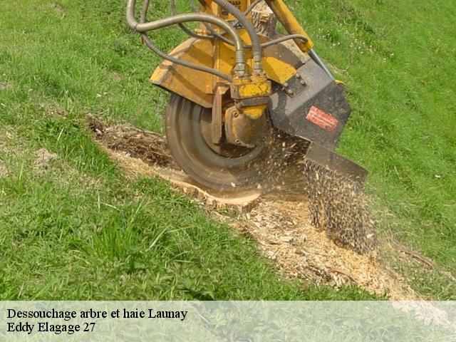 Dessouchage arbre et haie  launay-27470 Eddy Elagage 27