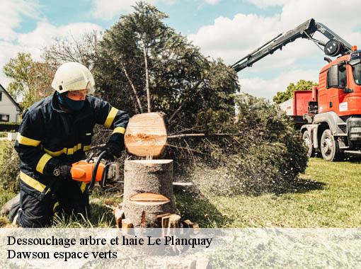 Dessouchage arbre et haie  le-planquay-27230 Dawson espace verts