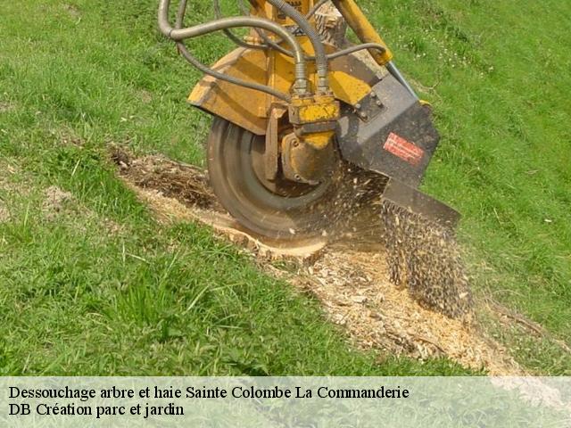 Dessouchage arbre et haie  sainte-colombe-la-commanderie-27110 Eddy Elagage 27