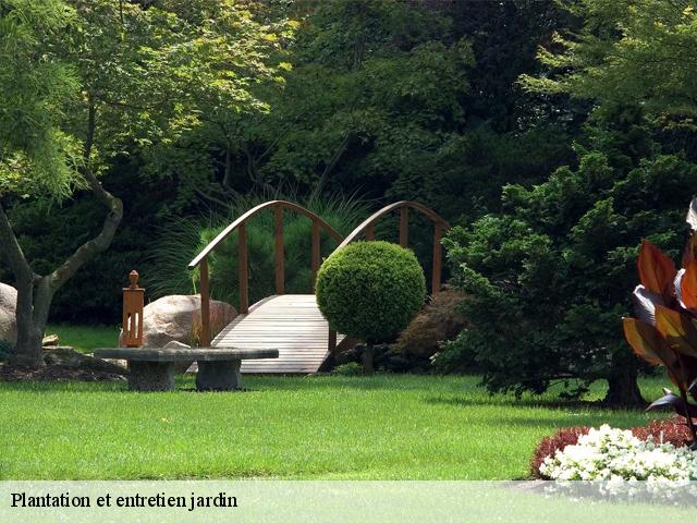 Plantation et entretien jardin flancourt-catelon-27310 DB Création parc et jardin