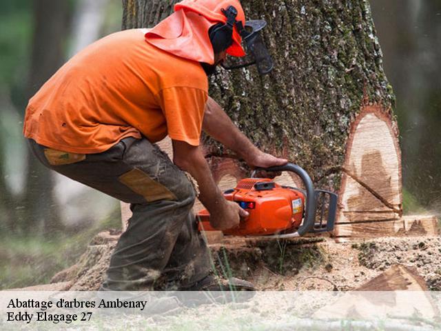 Abattage d'arbres  ambenay-27250 Eddy Elagage 27