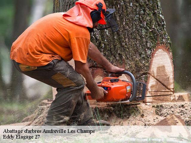 Abattage d'arbres  amfreville-les-champs-27380 Eddy Elagage 27