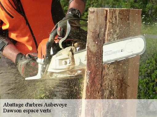Abattage d'arbres  aubevoye-27940 Dawson espace verts
