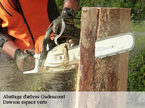 Abattage d'arbres gadencourt-27120 Dawson espace verts