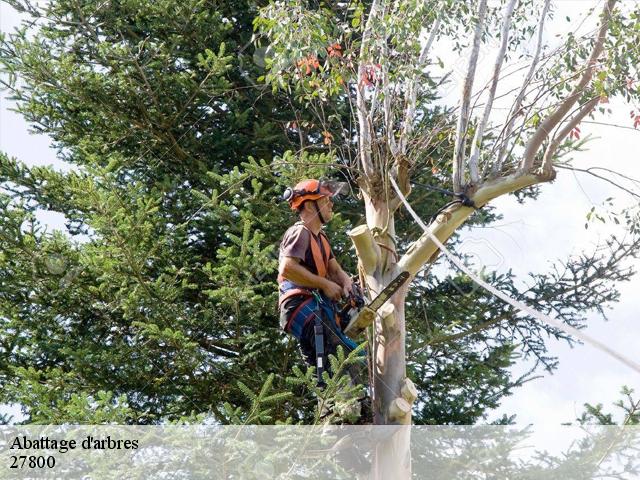 Abattage d'arbres livet-sur-authou-27800 DB Création parc et jardin