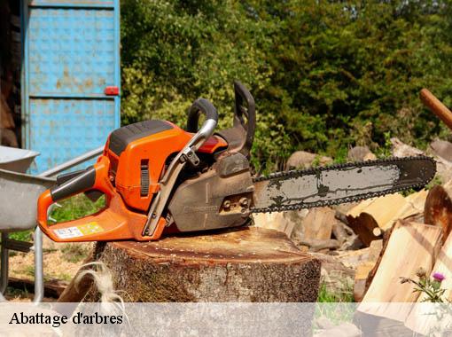Abattage d'arbres  provemont-27150 Dawson espace verts