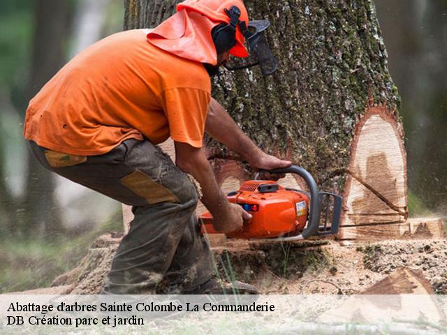 Abattage d'arbres sainte-colombe-la-commanderie-27110