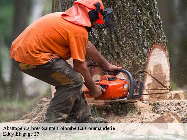 Abattage d'arbres  sainte-colombe-la-commanderie-27110 Eddy Elagage 27