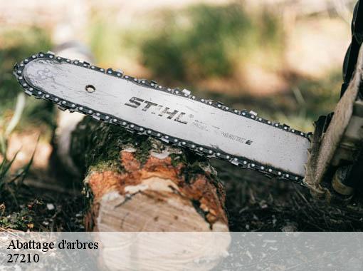 Abattage d'arbres le-torpt-27210 Dawson espace verts