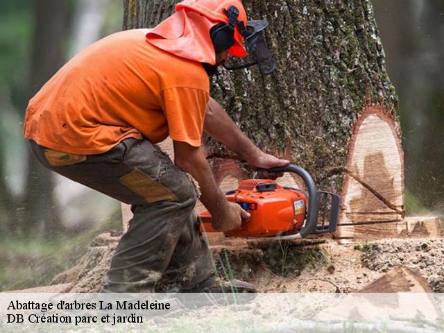 Abattage d'arbres la-madeleine-27000 DB Création parc et jardin