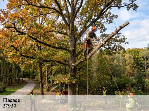 Elagage  angerville-la-campagne-27930 Dawson espace verts
