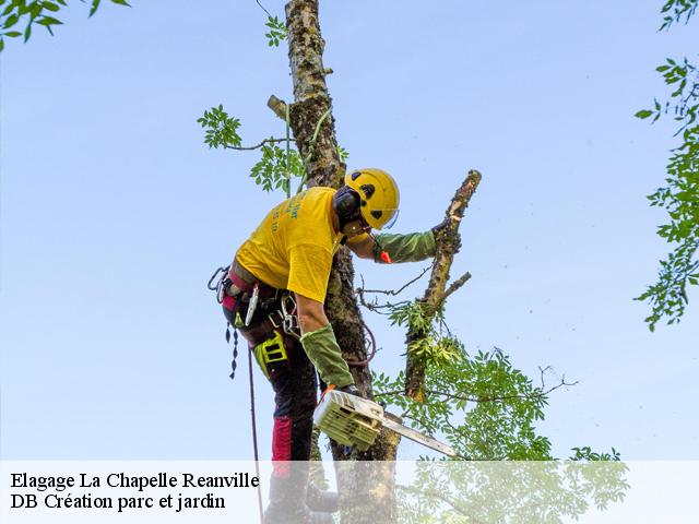 Elagage la-chapelle-reanville-27950 Eddy Elagage 27