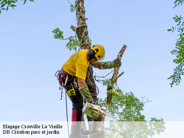 Elagage crosville-la-vieille-27110