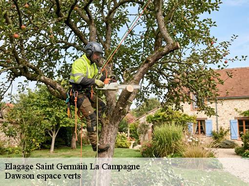 Elagage  saint-germain-la-campagne-27230 Dawson espace verts