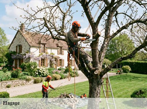 Elagage  le-vieil-evreux-27930 Dawson espace verts