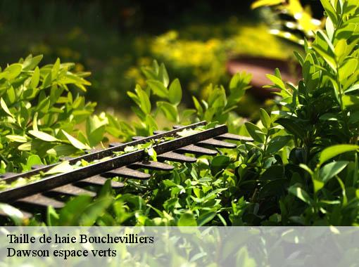 Taille de haie bouchevilliers-27150 Dawson espace verts