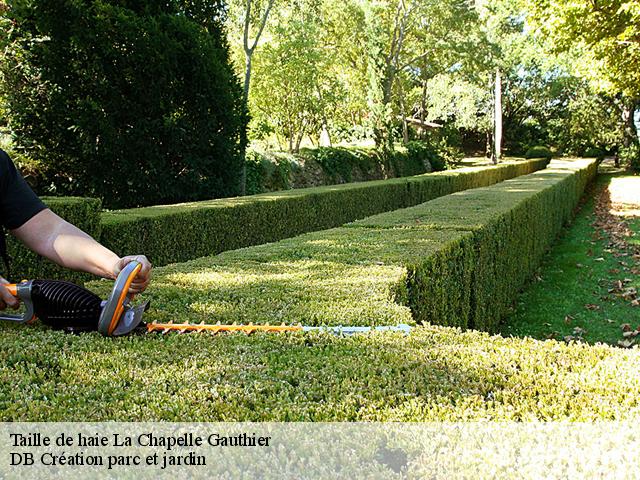 Taille de haie la-chapelle-gauthier-27270 DB Création parc et jardin