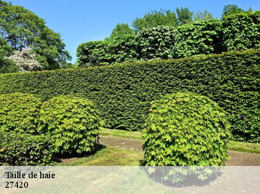 Taille de haie chateau-sur-epte-27420 Dawson espace verts