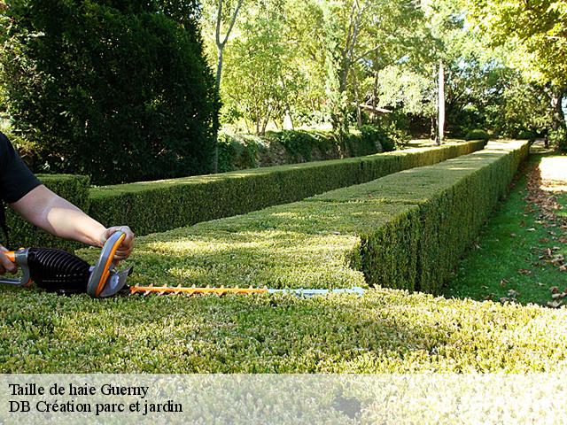 Taille de haie guerny-27720 DB Création parc et jardin