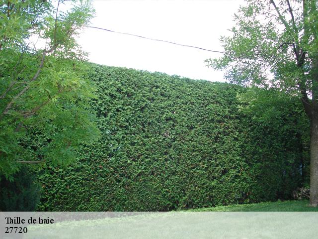 Taille de haie guerny-27720 DB Création parc et jardin