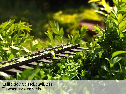 Taille de haie  hellenvilliers-27240 Dawson espace verts