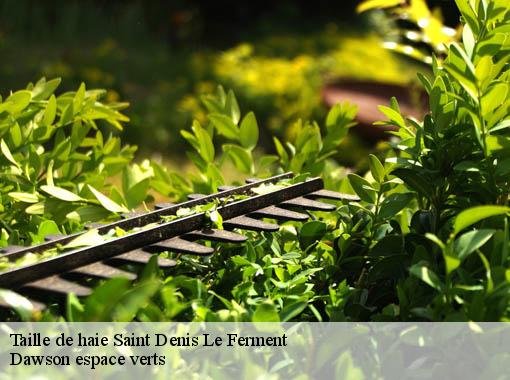 Taille de haie  saint-denis-le-ferment-27140 Dawson espace verts
