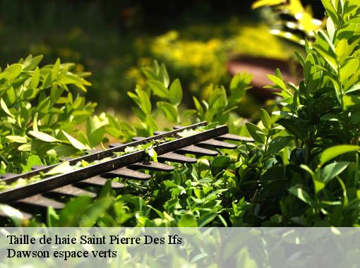 Taille de haie  saint-pierre-des-ifs-27450 Dawson espace verts