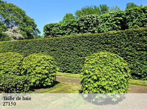 Taille de haie  sancourt-27150 Dawson espace verts