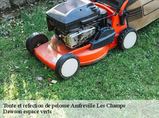 Tonte et refection de pelouse amfreville-les-champs-27380 Dawson espace verts