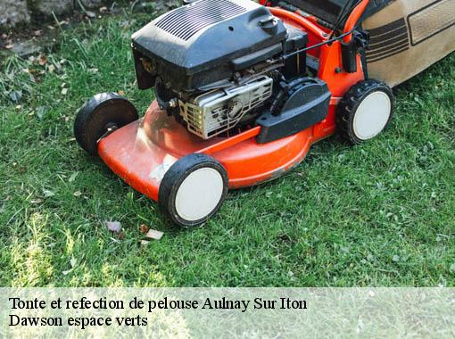 Tonte et refection de pelouse aulnay-sur-iton-27180 Dawson espace verts