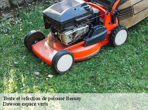 Tonte et refection de pelouse  bernay-27300 Dawson espace verts