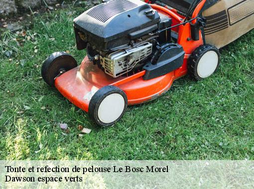 Tonte et refection de pelouse  le-bosc-morel-27270 Dawson espace verts