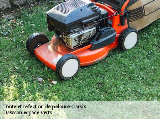 Tonte et refection de pelouse  carsix-27300 Dawson espace verts